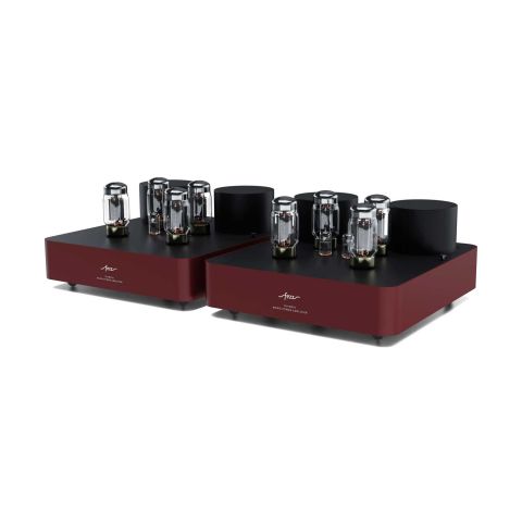 Fezz Audio Olympia Mono Power Amplifier