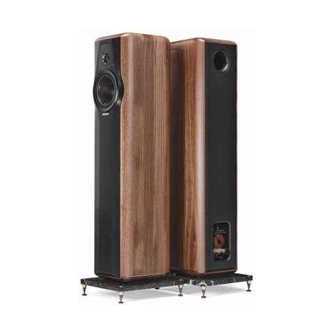 Sonus faber Maxima Amator Walnut Wood