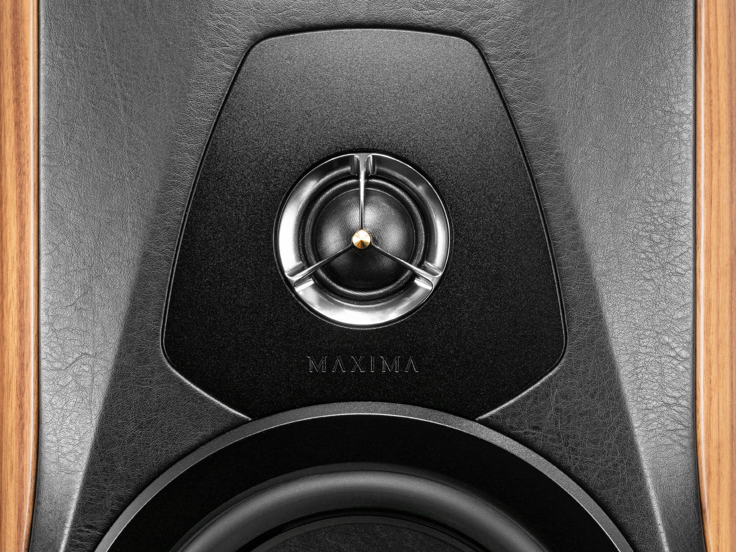 Sonus faber Maxima Amator