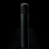 Primare Zen Microphone