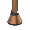 Bang & Olufsen Beolab 28 Bronze Tone/Dark Oak, Floor Stand